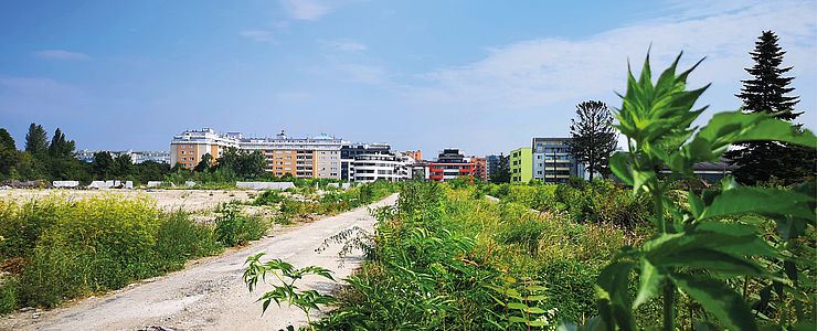 Das Baufeld Am Langen Felde 55.