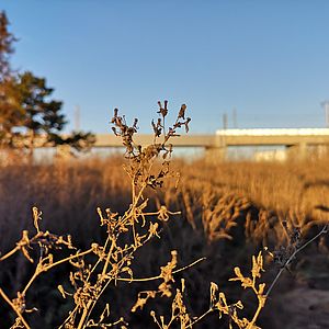 Das Baufeld an der Raffenstättergasse im Abendlicht.