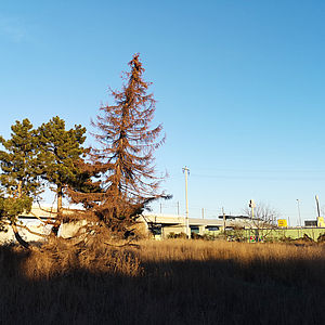 Das Baufeld an der Raffenstättergasse im Abendlicht.