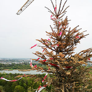 Der Firstbaum am Dach der Wohnhausanlage in der Biotope City.