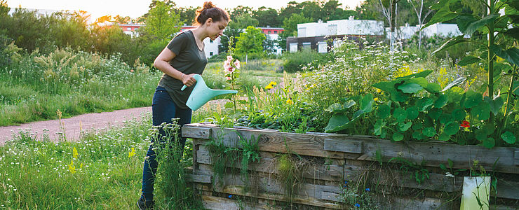 Eine Frau gießt Pflanzen am Hochbeet im Stehen.