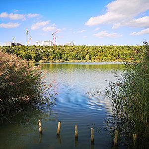 Das Mischek Wohnbauprojekt HOCHH(IN)AUS - Ein grünes Juwel am Wienerberg in der Biotope City.