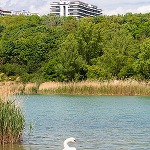 Das Mischek Wohnbauprojekt HOCHH(IN)AUS in Wien 10 liegt direkt am Naherholungsgebiet Wienerberg.