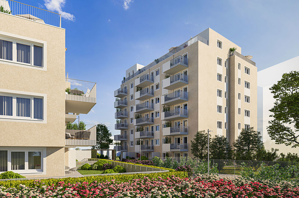 Mischek errichtet rund 65 freifinanzierte Eigentumswohnungen in Wien 22 im Garten-Städtchen-22.