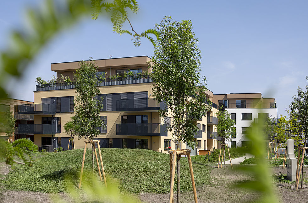 Das in der Kugelmanngasse 1A von Mischek Bauträger erbaute Wohnhaus von außen.