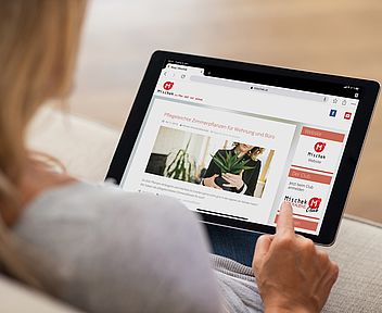 Der Mischek Blog ist Dreh- und Angelpunkt der aufeinander abgestimmten Content-Strategie des Wiener Bauträgers. © Mischek