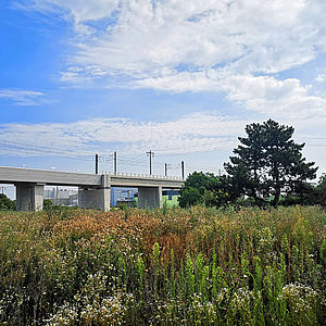 Das Mischek Baufeld in der Raffenstätterstraße im 22. Bezirk. 