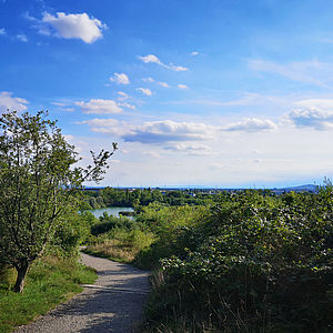Das Mischek Wohnbauprojekt HOCHH(IN)AUS - Ein grünes Juwel am Wienerberg in der Biotope City bietet Aussicht auf den Wienerberg Teich.